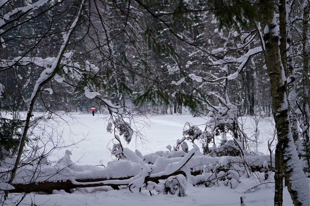 Photograph by Марина Безенкина