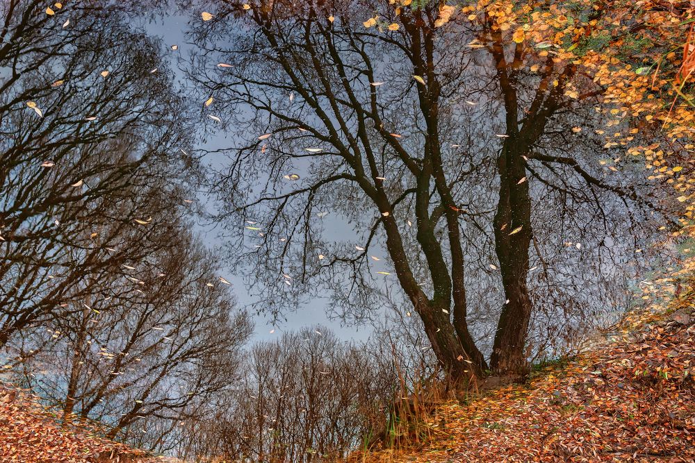 Photograph by Ольга Максимова