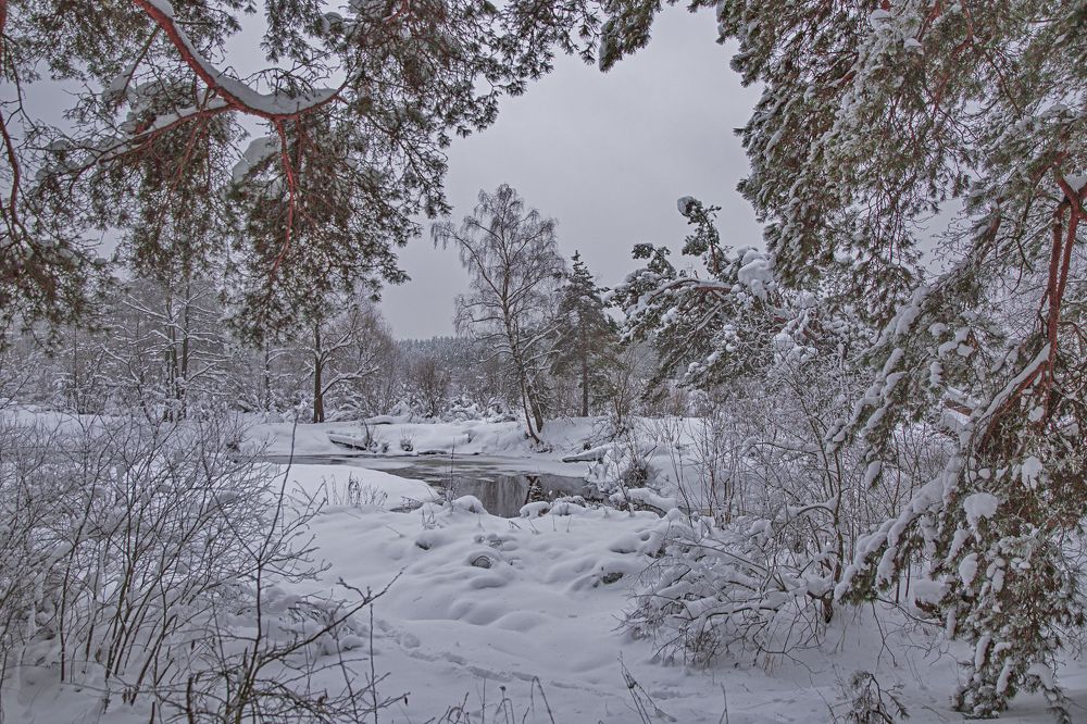 Photograph by Сергей Калинин
