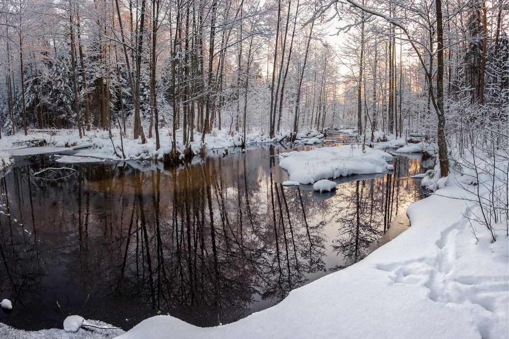 Photograph by Ольга Максимова