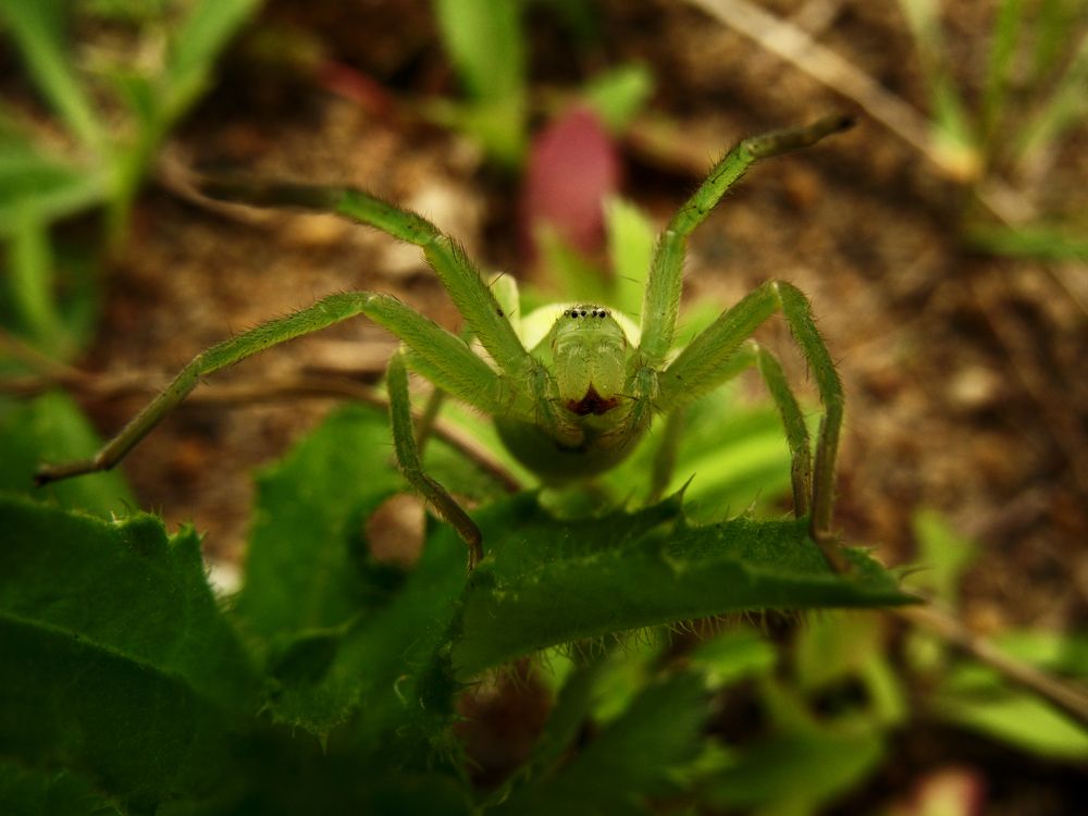 Photograph by Михаил Мостовой