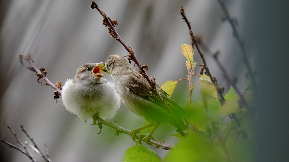 Photograph by Сергей Владимирович
