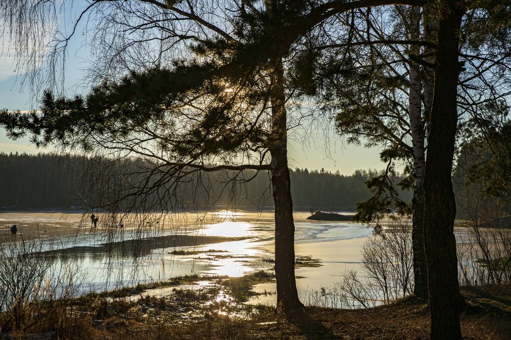 Photograph by Сергей Калинин