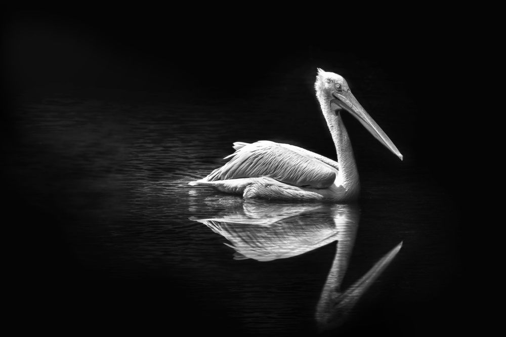 Photograph by Sébastien Wautié