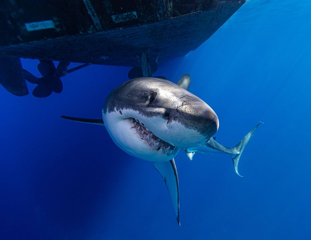 Photograph by Mizael Palomeque