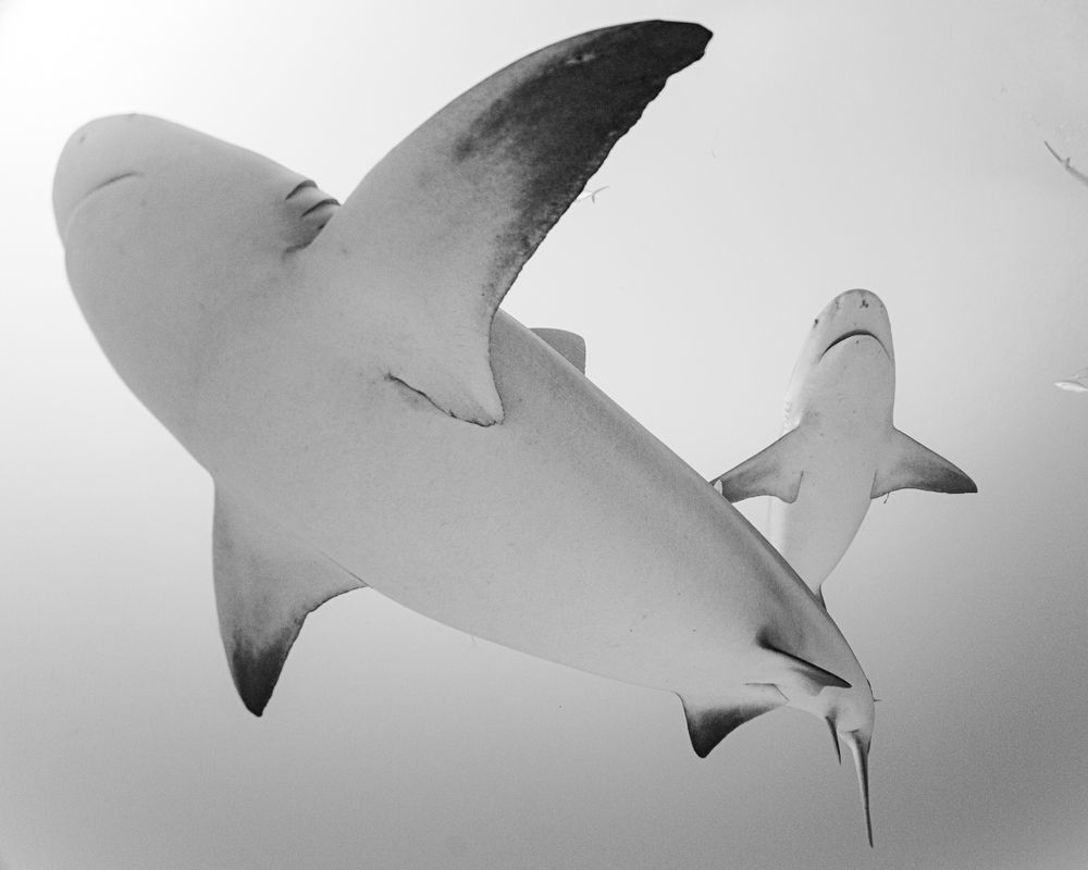 Photograph by Mizael Palomeque