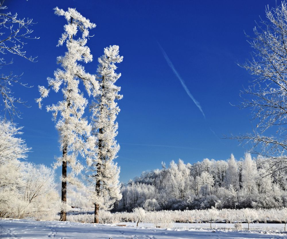 Фотография автора Антип