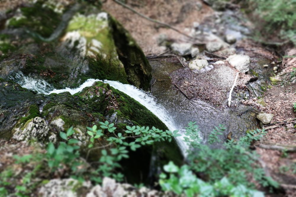 Photograph by Цыганова Анна