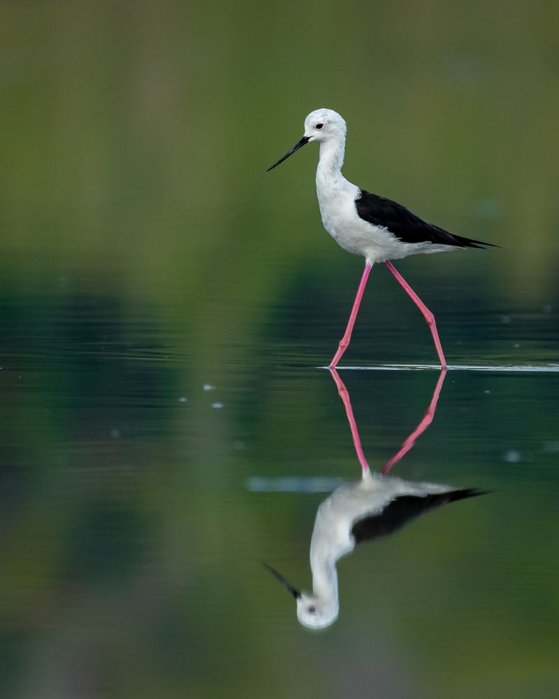 Photograph by Visveswar VK