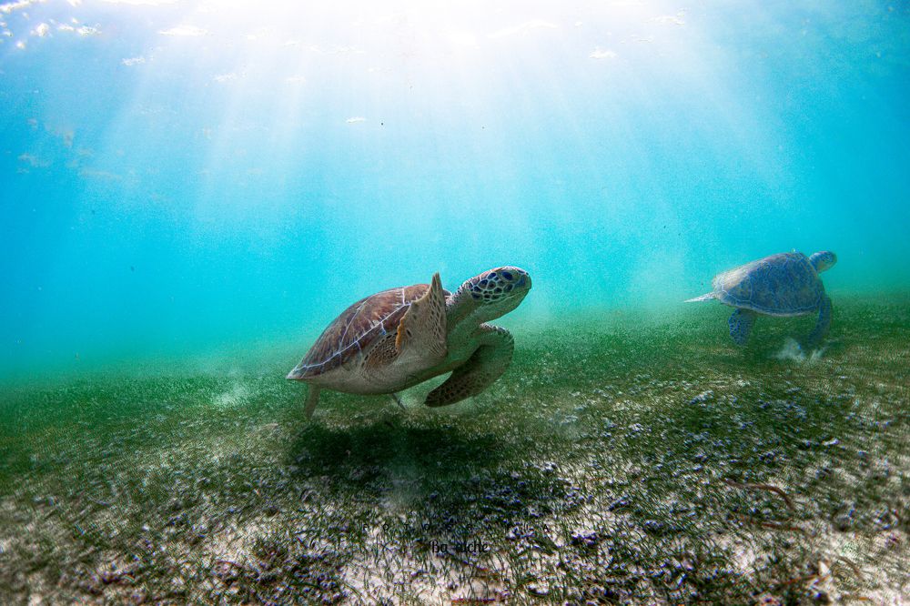 Photograph by Mizael Palomeque