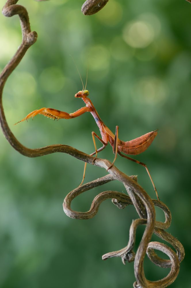 Photograph by Тараненко Анжелика