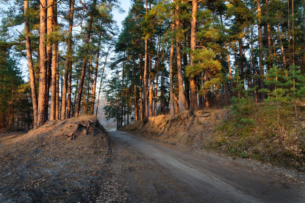 Photograph by Григорий Шалик