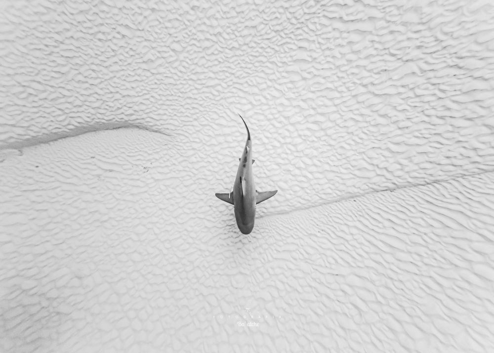 Photograph by Mizael Palomeque