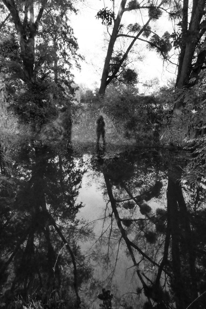 Photograph by Nathalie BARRUS