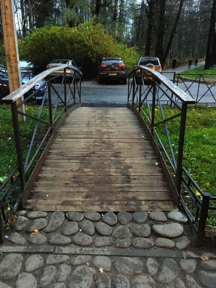 Мостик в Чудо-Парк Удельный...СПб...!)