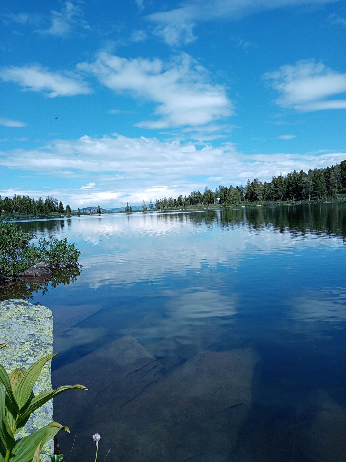 Photo #6945662