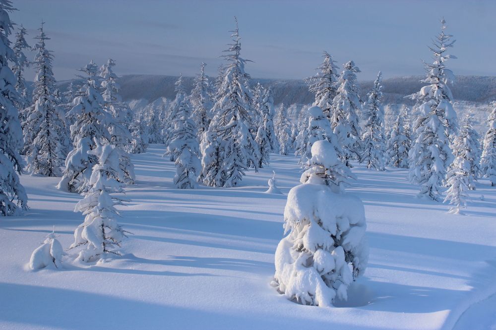 Photograph by Александр Велигура