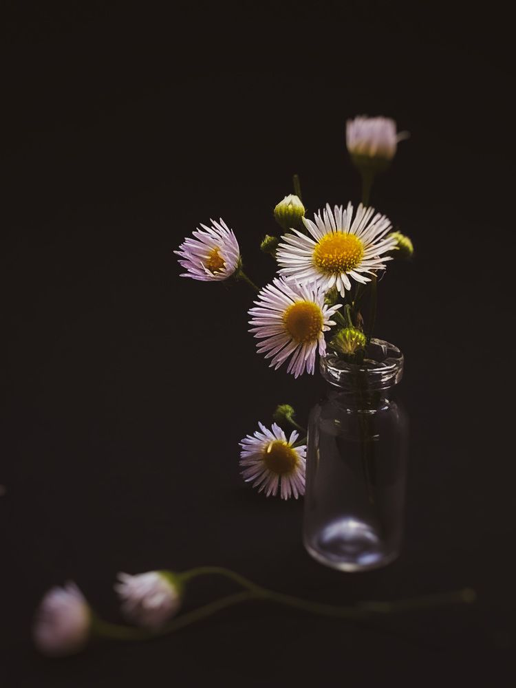 Photograph by Ольга Скиба