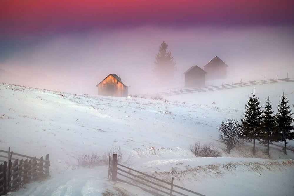 Photograph by Gabriel MARIAN