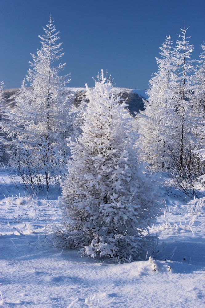 Photograph by Александр Велигура