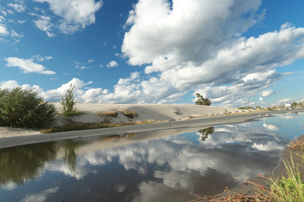 Photograph by Ксения Казырицкая