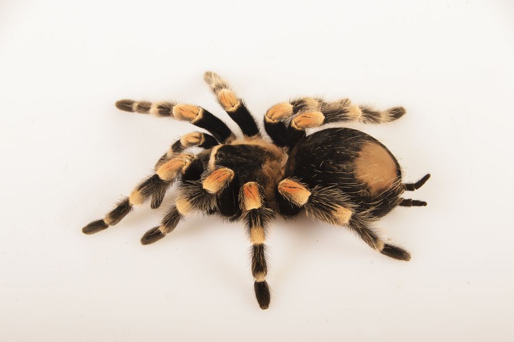 Photograph by Волгина Елена