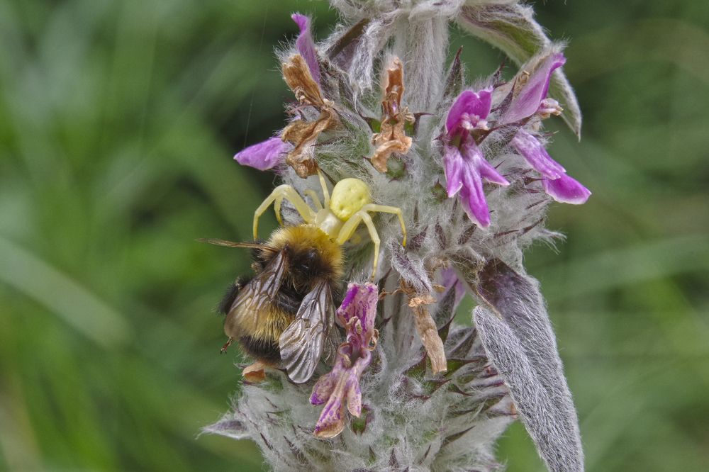 Photograph by Елена Щитова