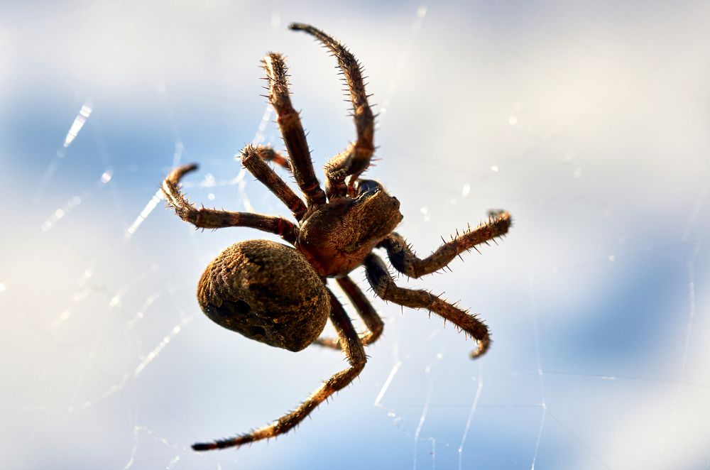 Photograph by Валерий Гончаров