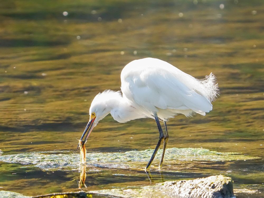 Photograph by Karina Elena Bergagna