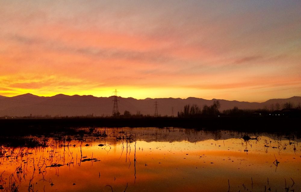 Photograph by hanie rashidi