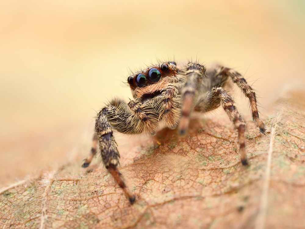 Фотография автора Piotr Bulinko