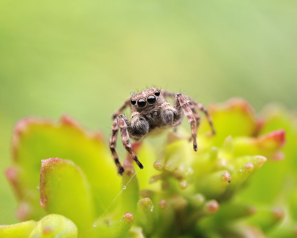 Photograph by Piotr Bulinko