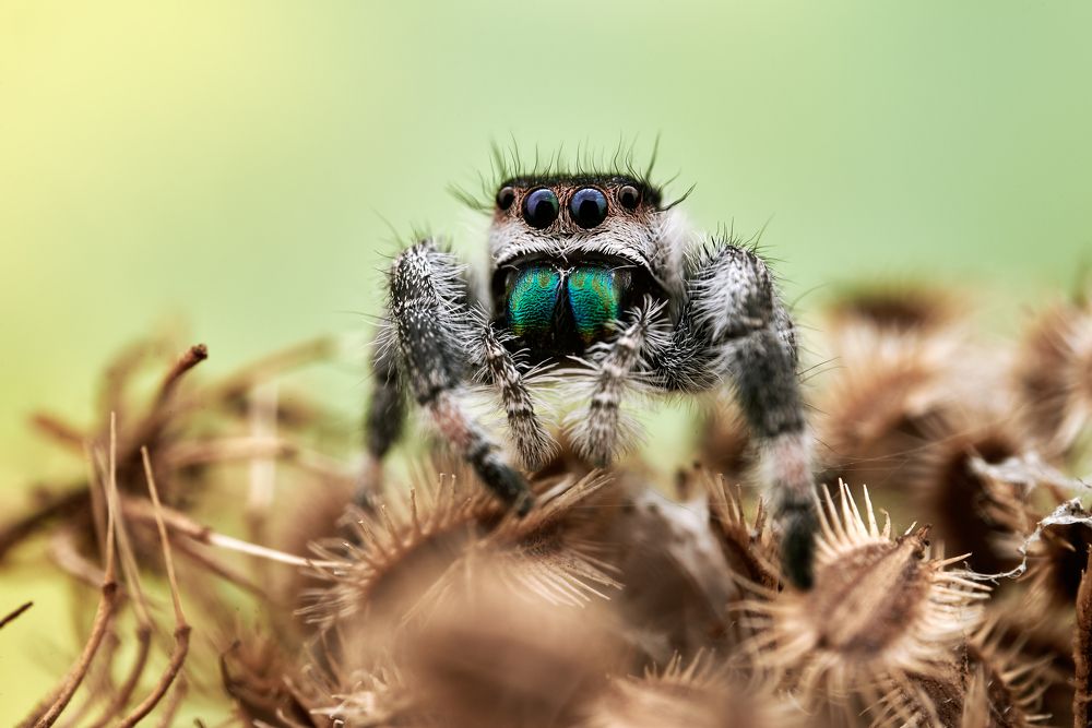 Photograph by Piotr Bulinko