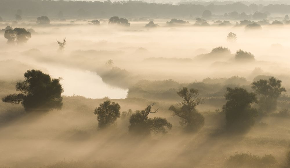 Photograph by Сергей Алексеев