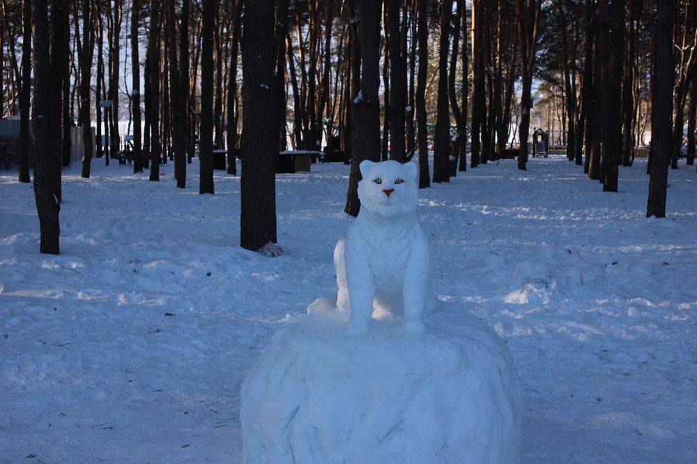 В зимнем парке