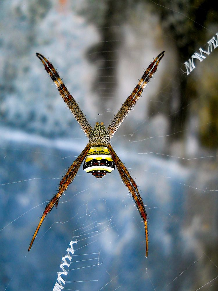 Photograph by Kamal Bhattacharjya