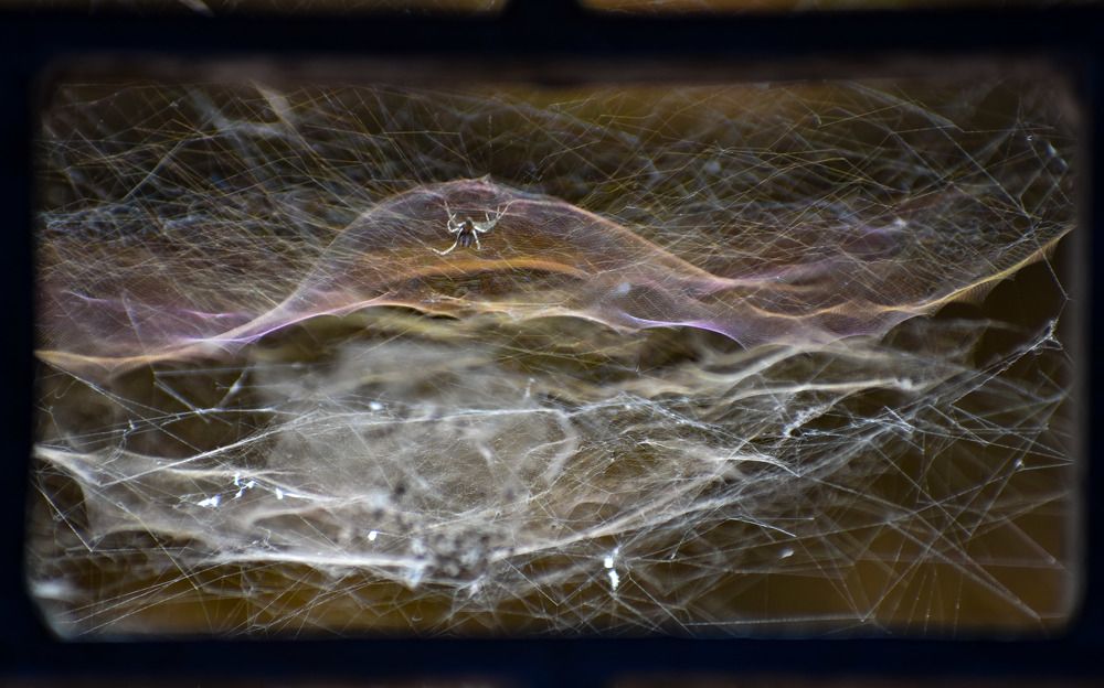 Photograph by Kamal Bhattacharjya