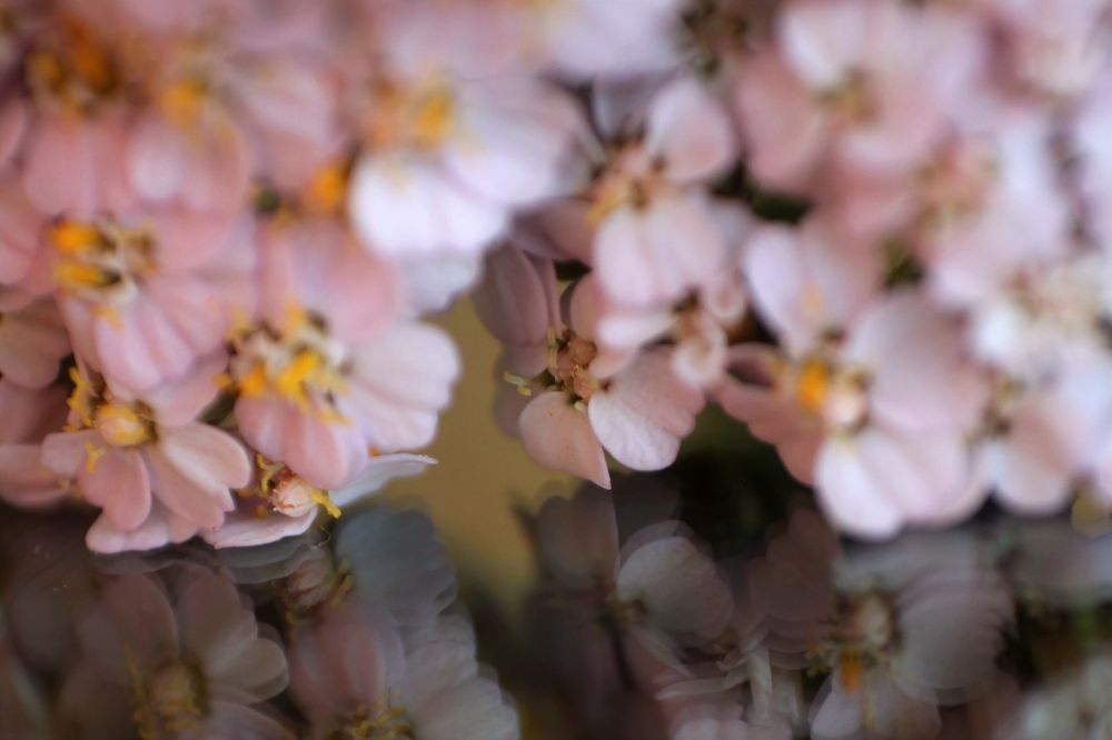 Photograph by Катерина Ермолаева