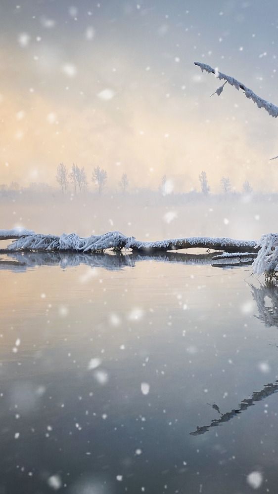 Photograph by Роман Алейников