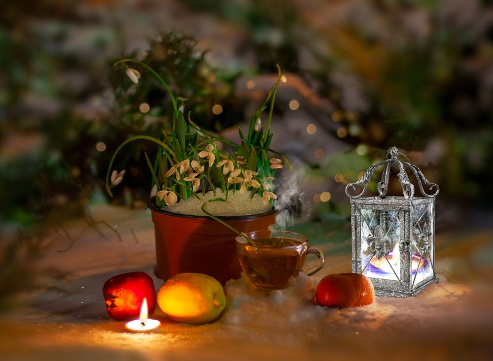 Фотография автора Анна Власенко