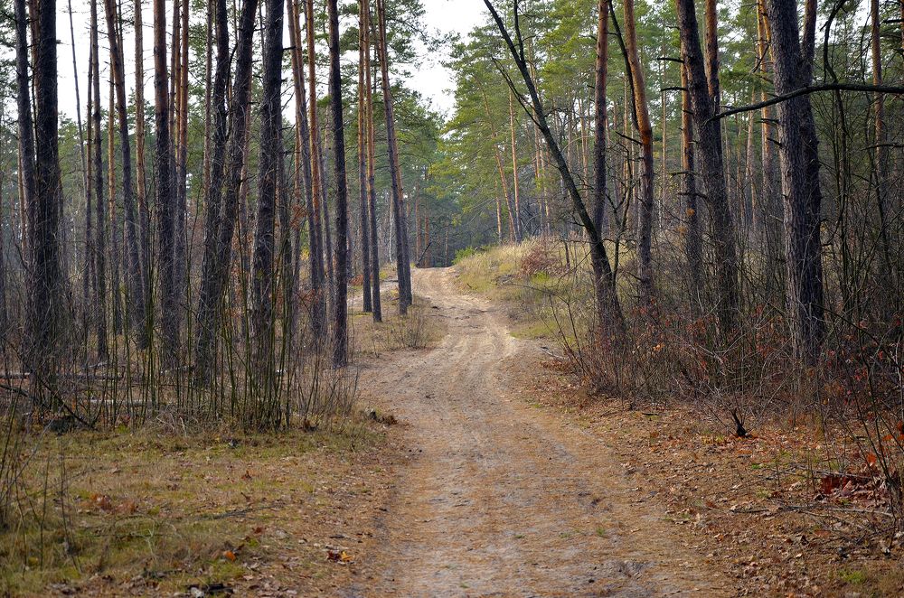 Photograph by Ирина Литичевская