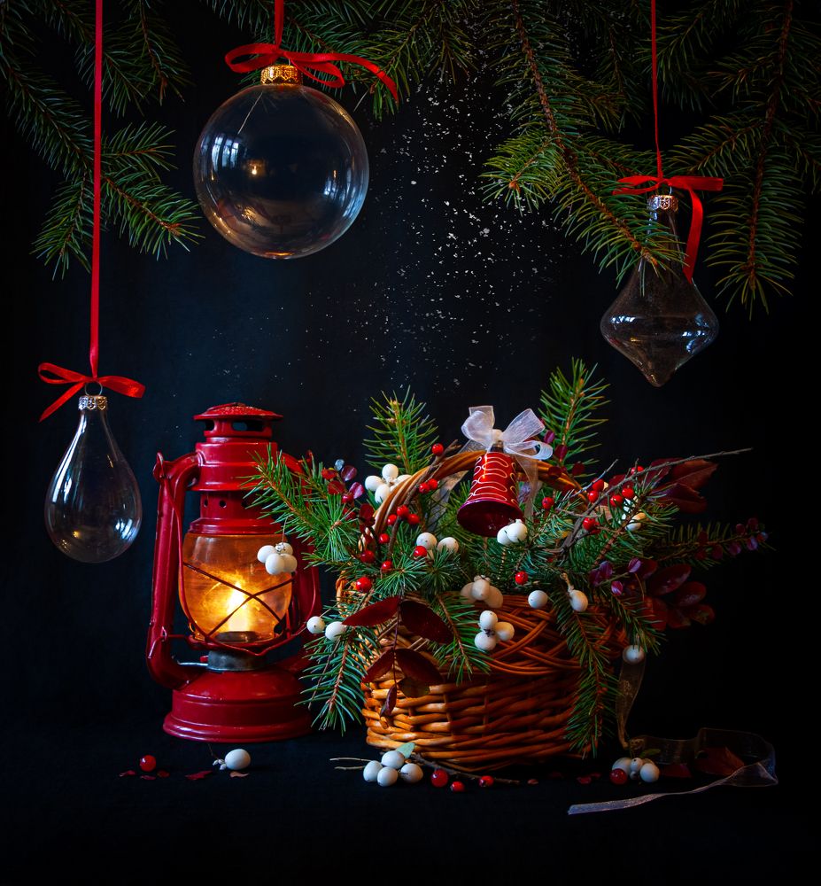 Фотография автора Анна Власенко