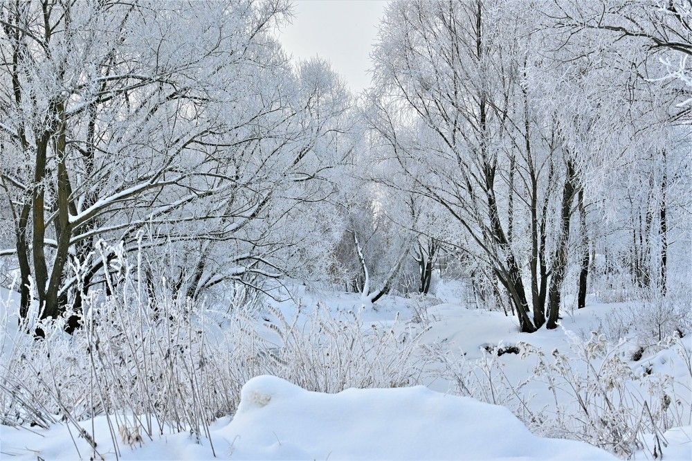 Photograph by 