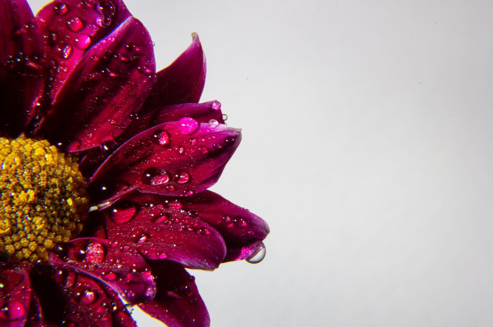 Photograph by Олег Кипкаев