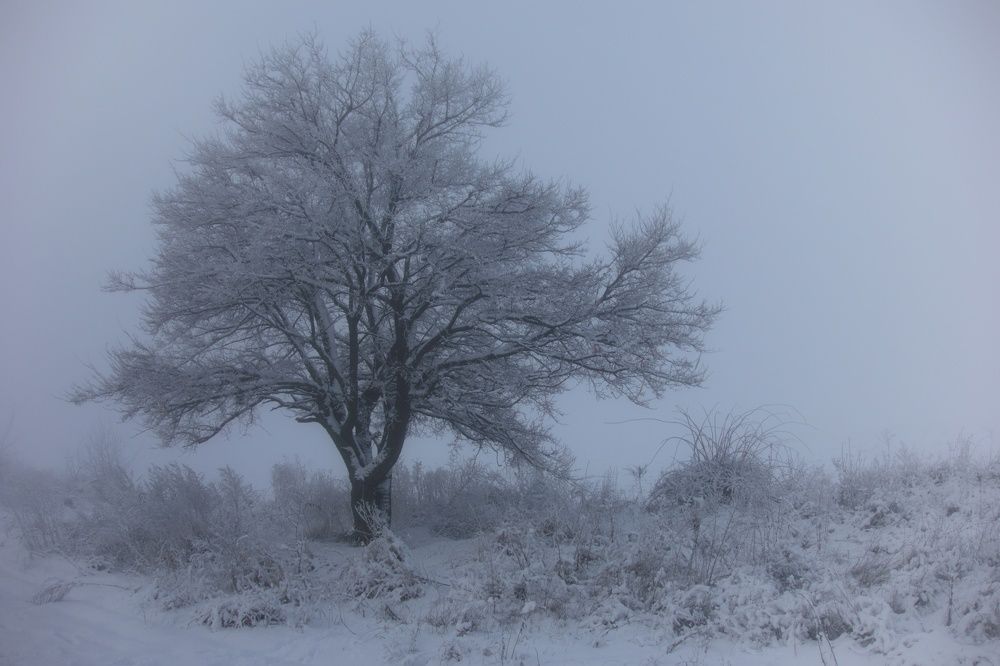 Photograph by Сергей Зуденко