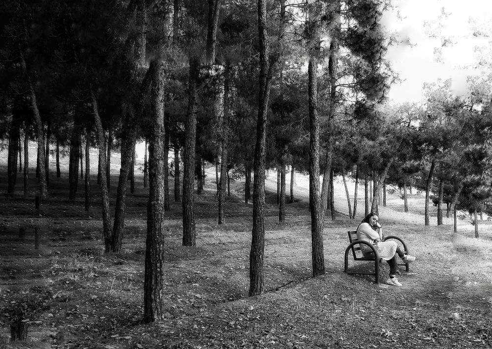 Photograph by abolfazl shahmiry