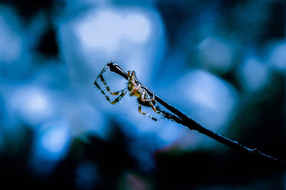 Photograph by Дмитрий Растихин