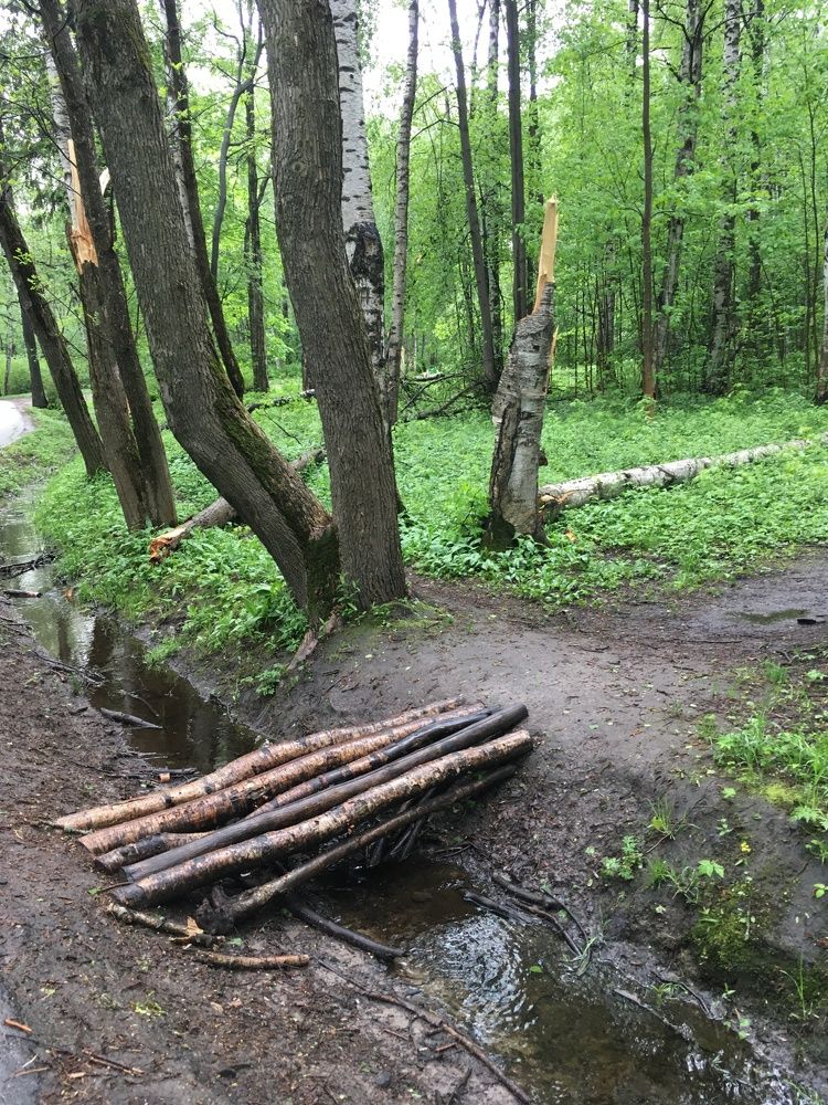 Мосточек...в Удельном Спб...!)