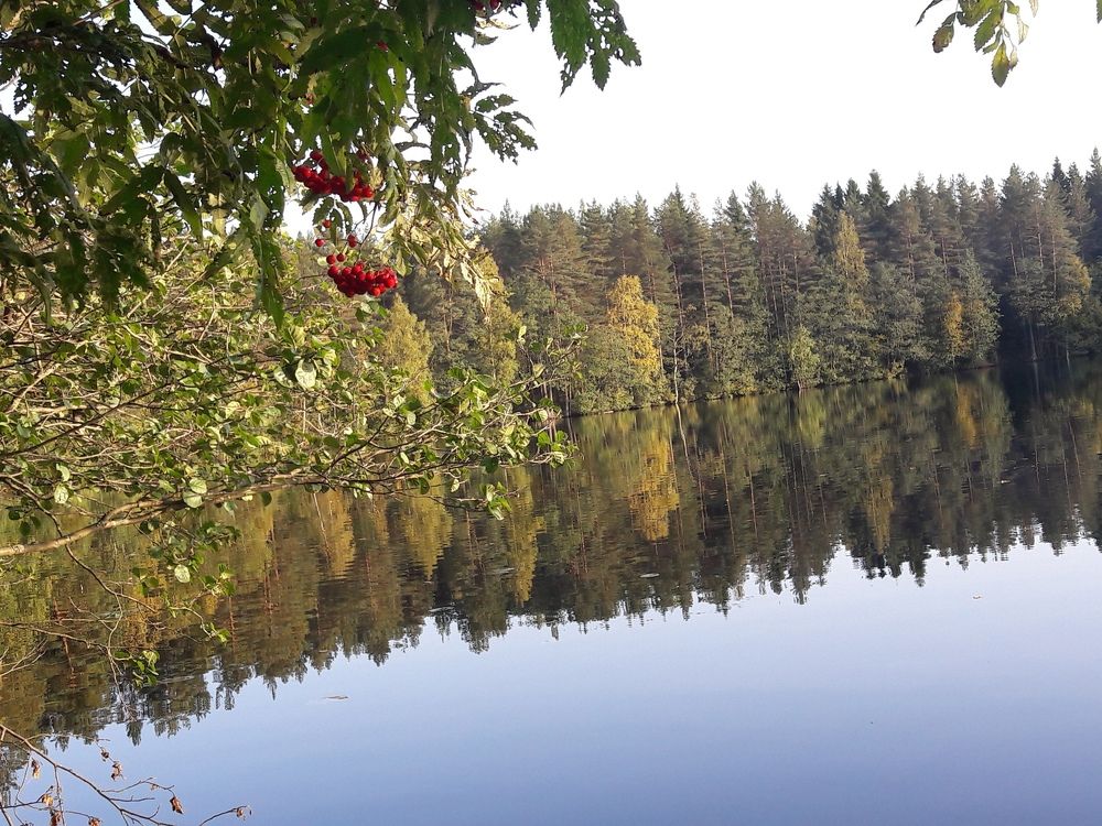 Photograph by Ирина Шубина