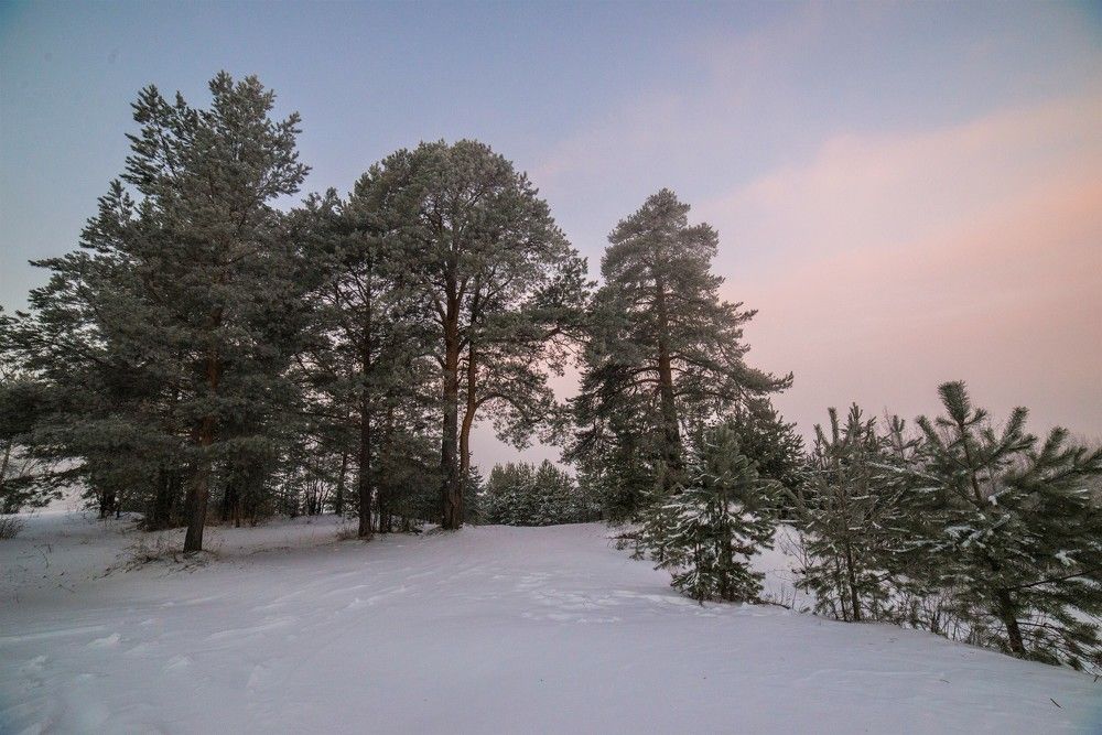 Photograph by Николай Лысцев